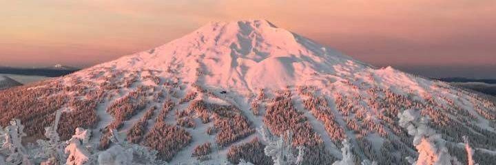 p_latapus's profile banner image
