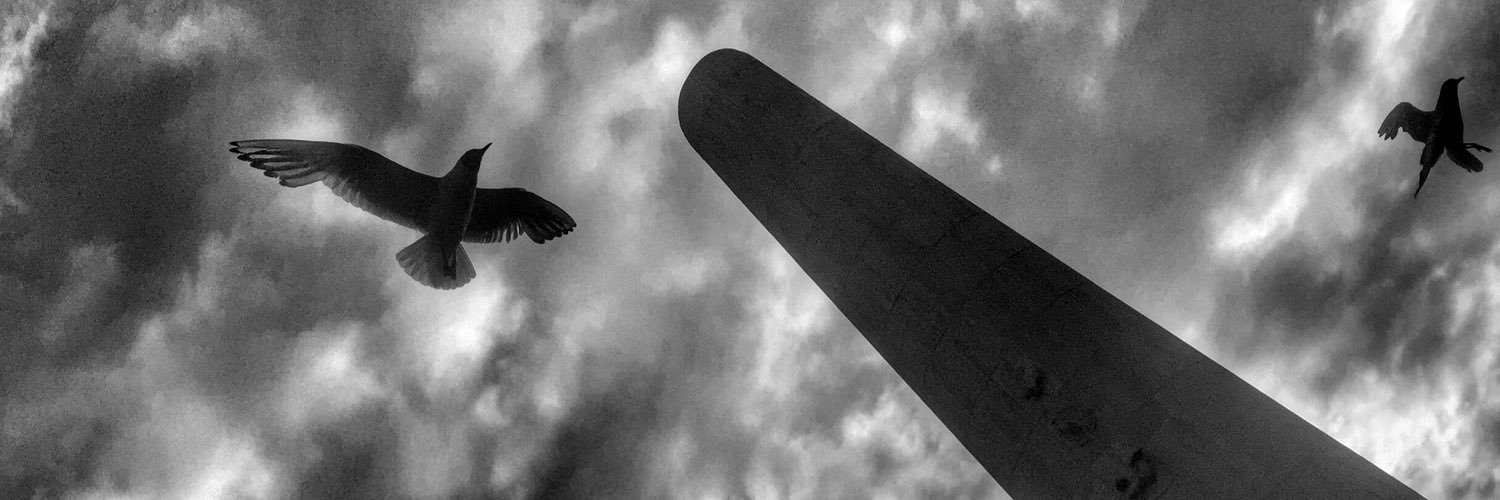 griffendavies's profile banner image