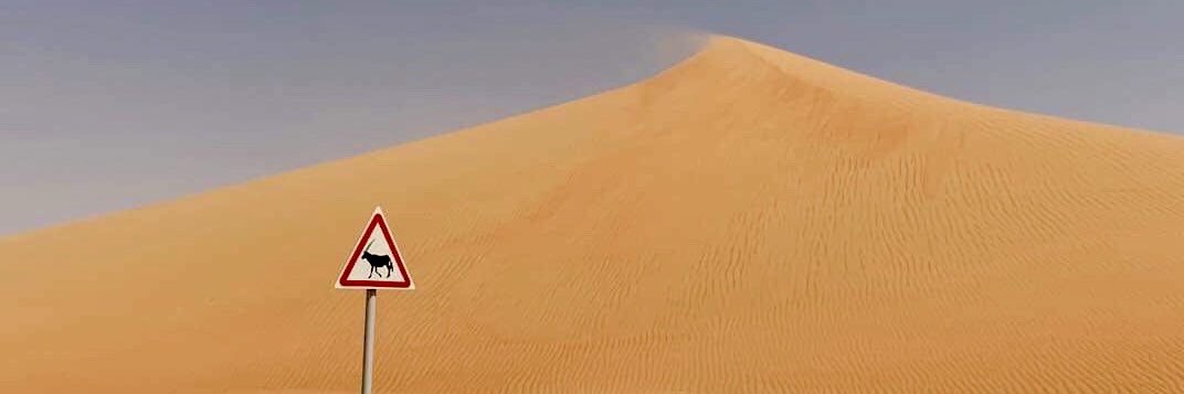 maczka_p's profile banner image