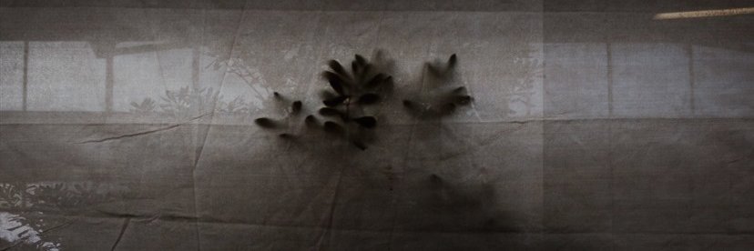 AkkorMusic's profile banner image