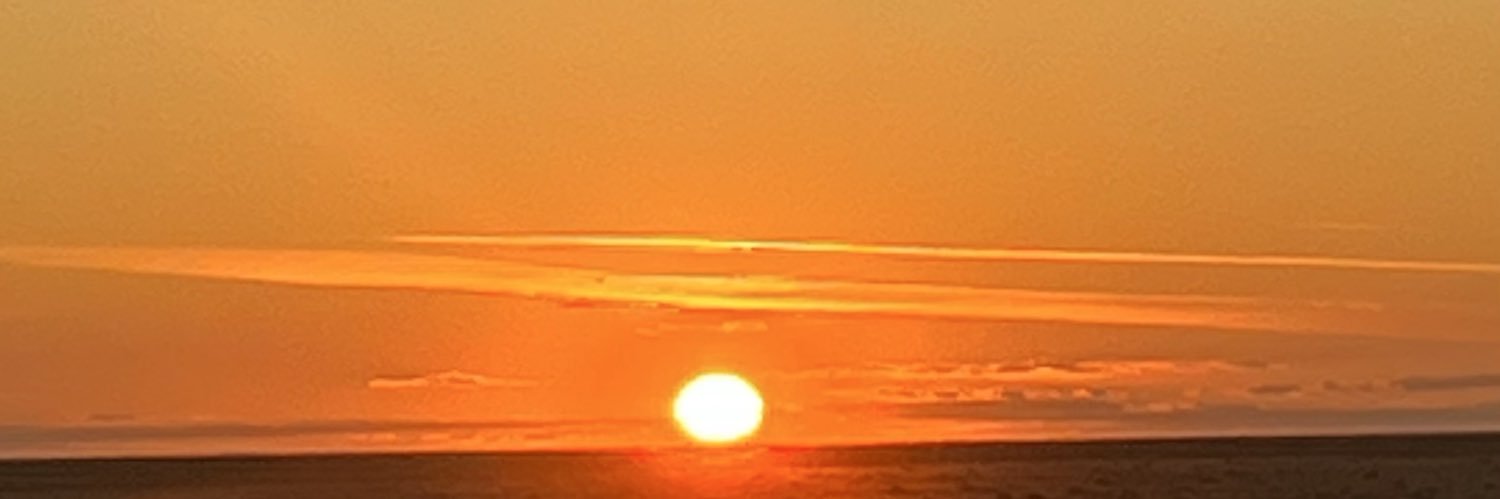 Hon. David Pisoni banner