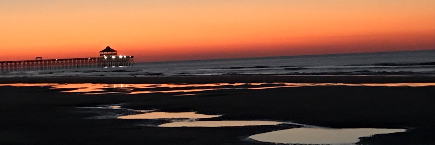 Ashley S. Vandiver banner