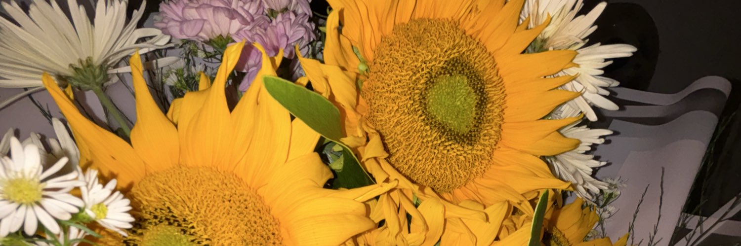 devinanataliaa's profile banner image