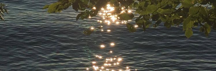 m_mindchay's profile banner image