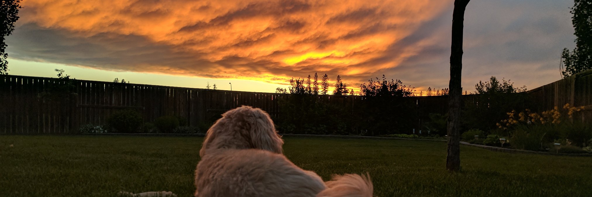 gwedman's profile banner image