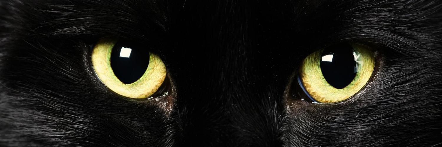 vg718's profile banner image