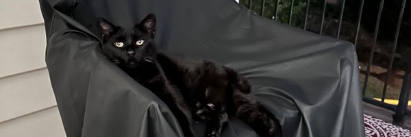 ColumbiaQT Profile Banner