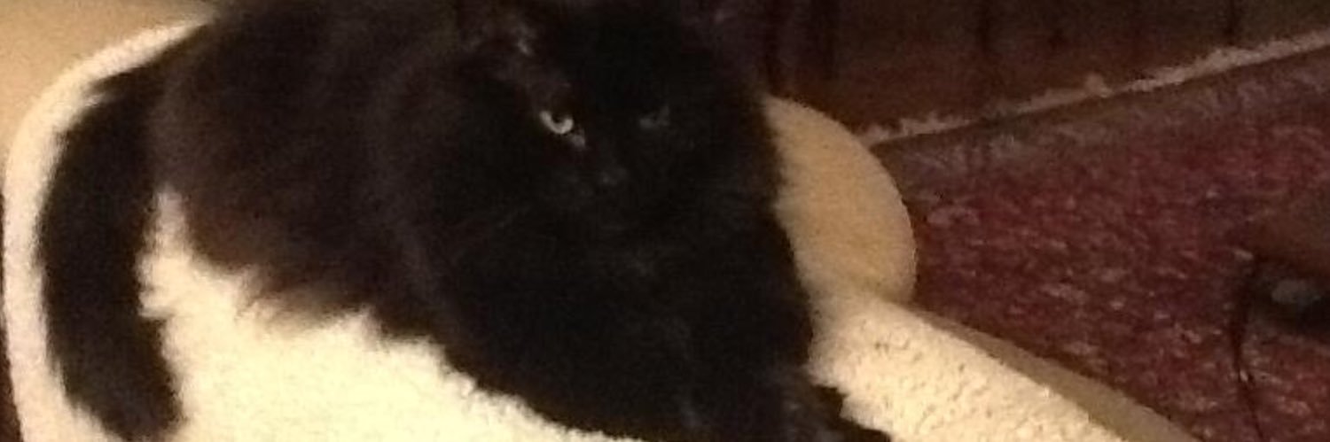simplyCathy1's profile banner image