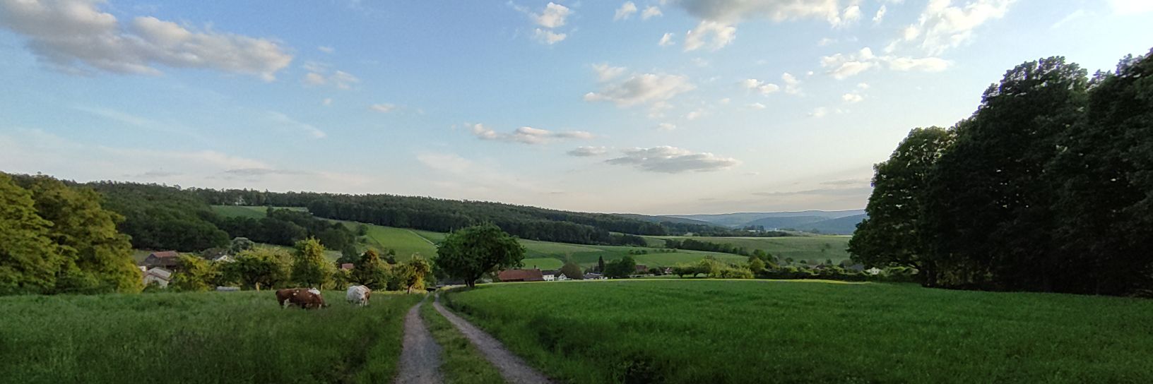 OdenWaldpirat banner