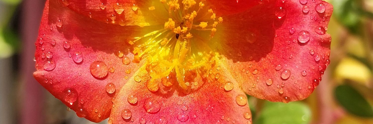 madhavan_rm's profile banner image