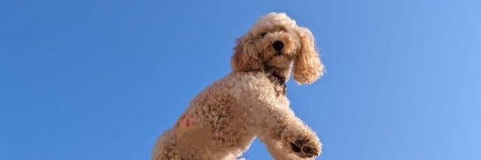 ANDERSONTHOUGHT's profile banner image