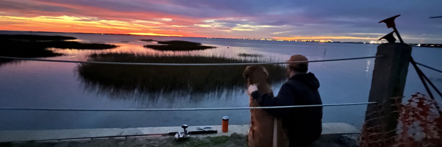 themarkdavidson's profile banner image