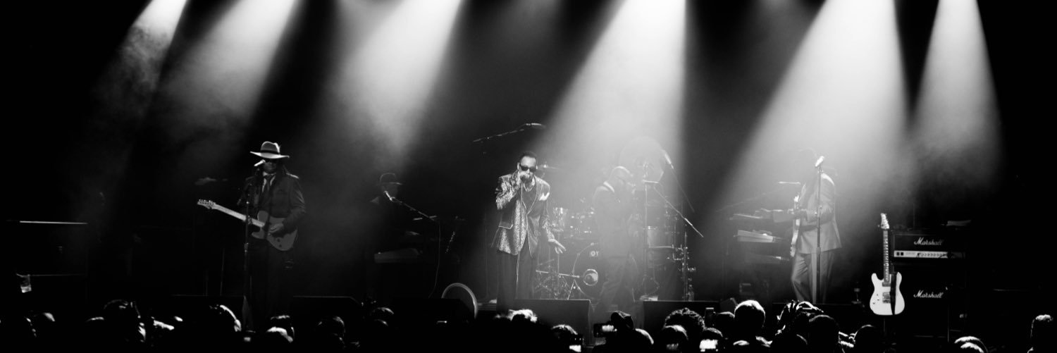 Meredith Westin 🌻 banner