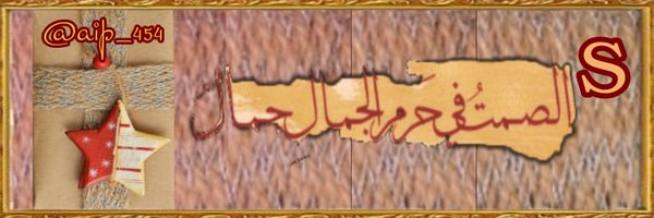 aiop_454 Profile Banner