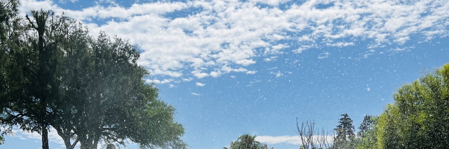 MariaAudryLuer's profile banner image