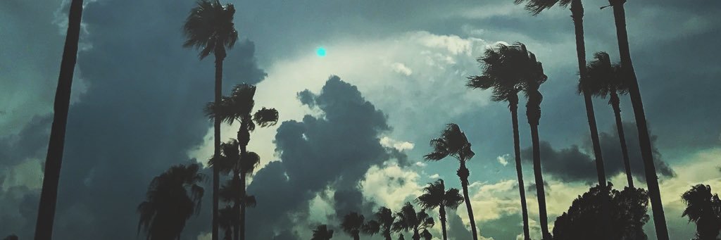 VictoriaAnnC's profile banner image