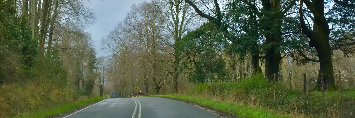 Patricio Paredes banner