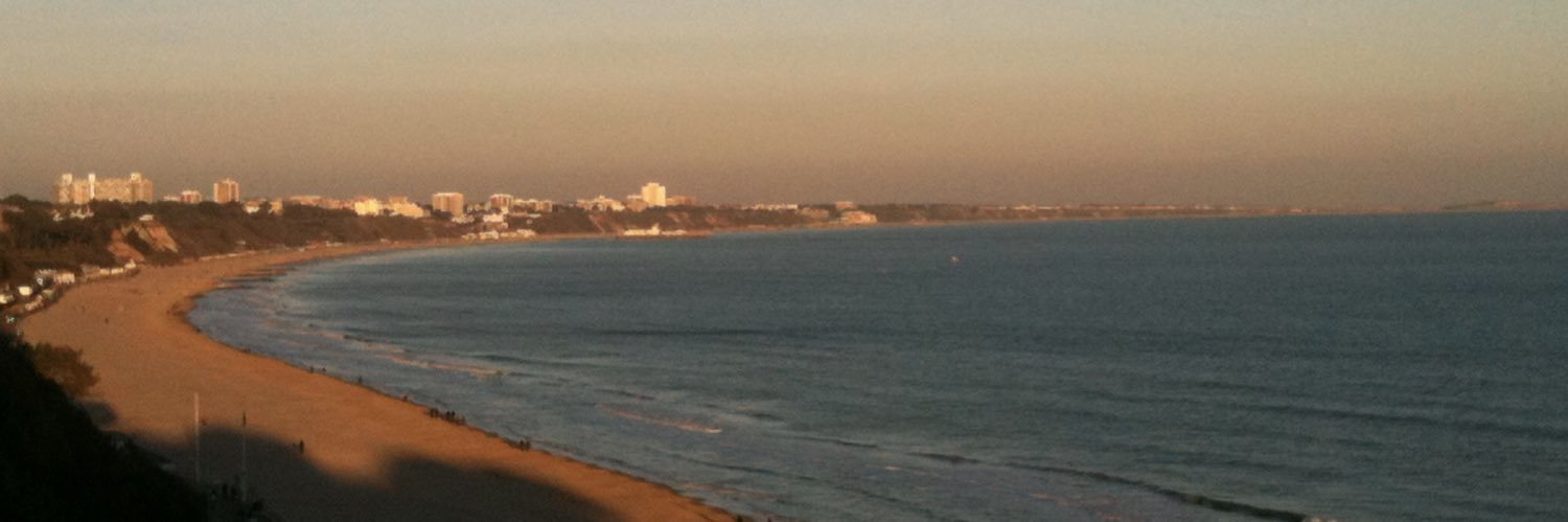 Vicki 🌻🐕‍🦺🚐☀️ banner