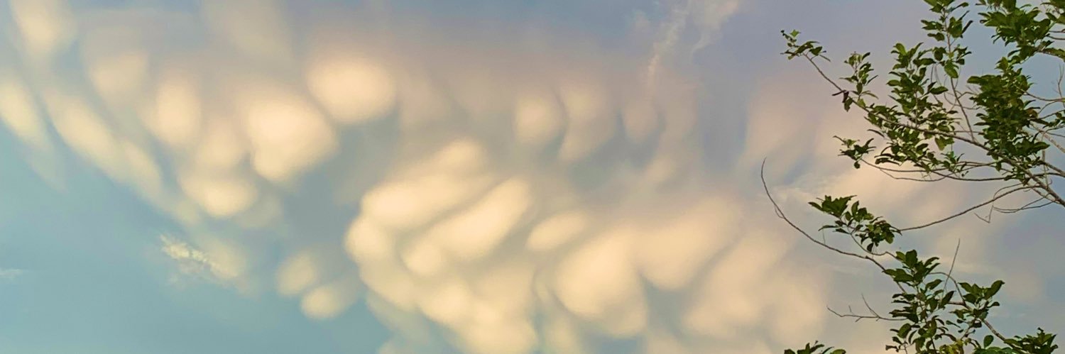 dnvtaaa's profile banner image