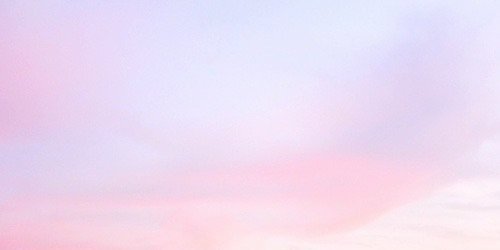 nasharoId's profile banner image