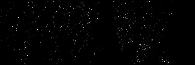 Aishaxtlc's profile banner image
