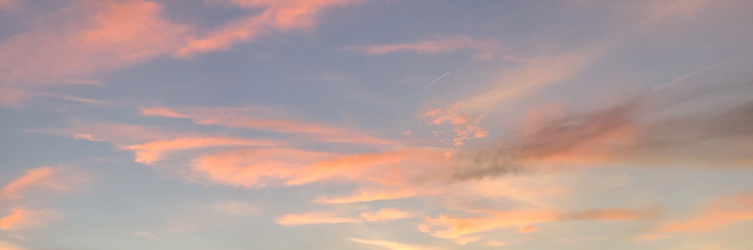 FeerLM's profile banner image