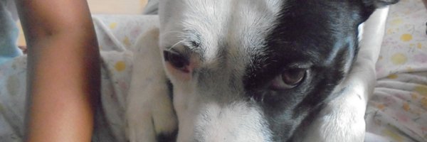 JoyAgnost Profile Banner