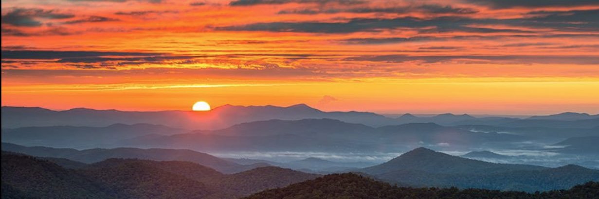 Dr. William Sroufe banner