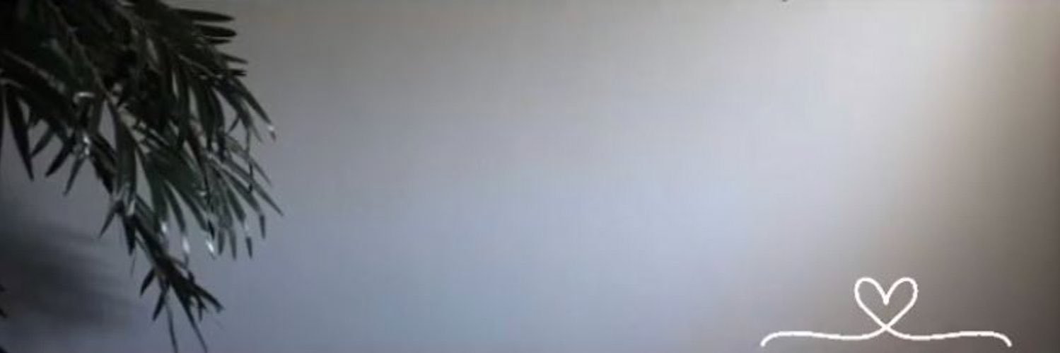aloklaa's profile banner image