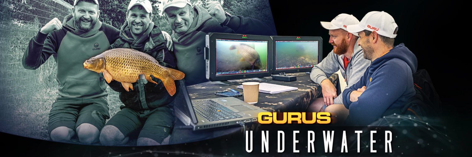 Team Guru banner