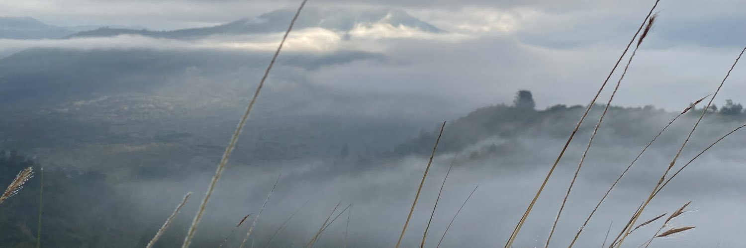 farahdiell's profile banner image