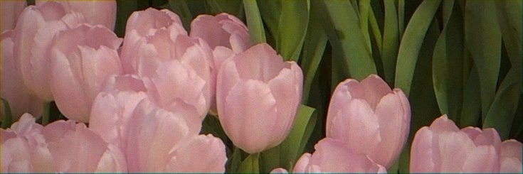 sby1010's profile banner image