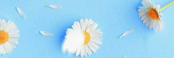 ro7y_r's profile banner image