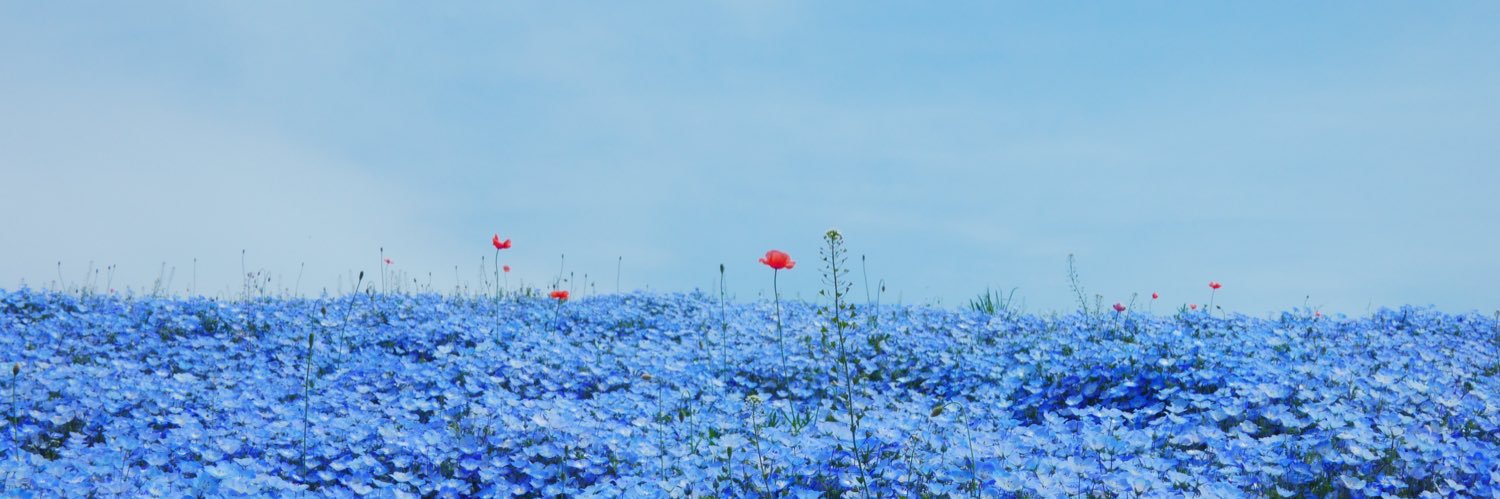 𝓝𝓞𝓘𝓛 🫧 ͛.* banner