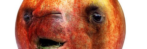 3pga's profile banner image