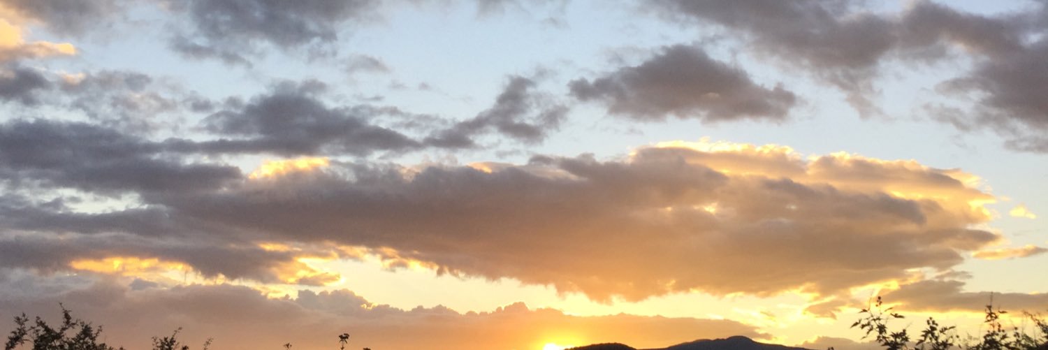 alexbrozon's profile banner image