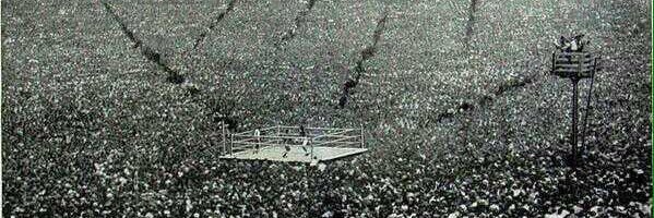 Gatz  Encinas banner