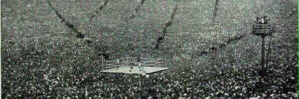 GatoBoxing Profile Banner