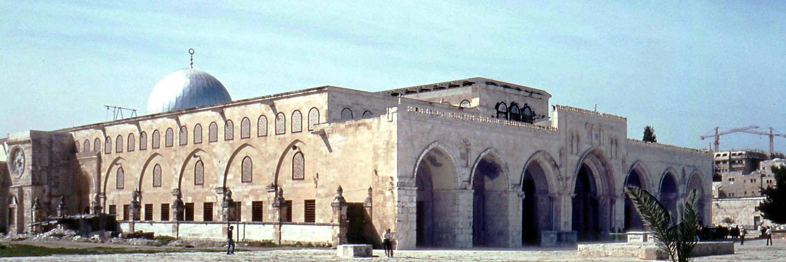 محمد الحسن الددو banner