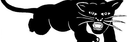 KongKerr's profile banner image