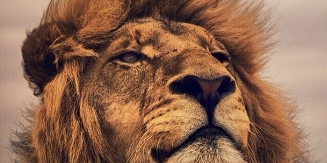 marcusamaral__'s profile banner image