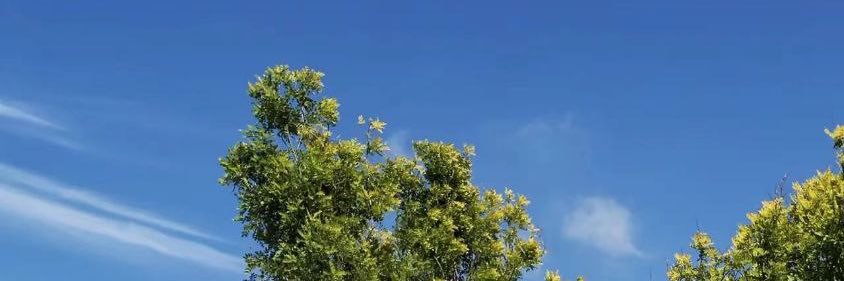 Shunvsy's profile banner image