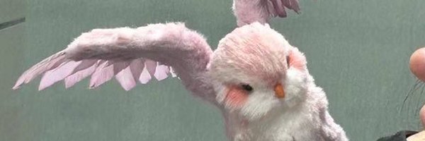 yayalub Profile Banner