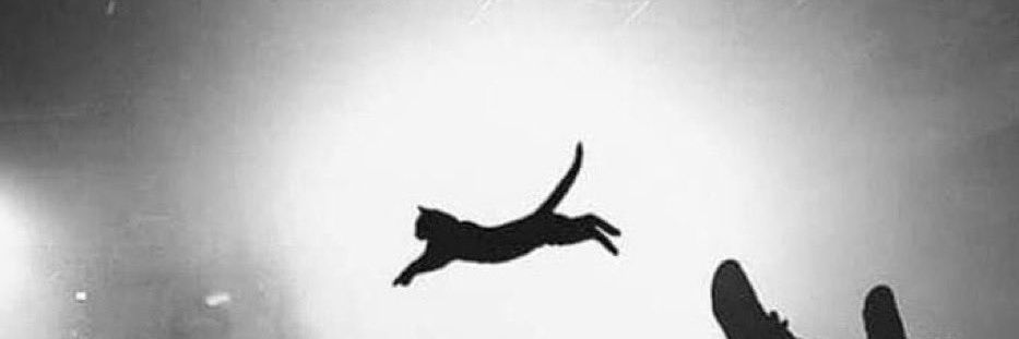 BN_NUMAN14's profile banner image
