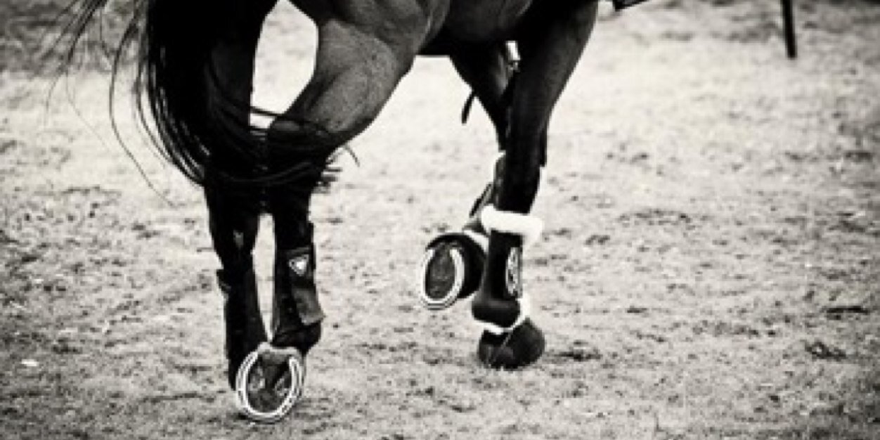 Beau van schie banner