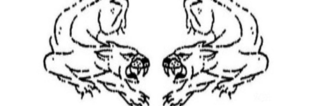 stachoris's profile banner image