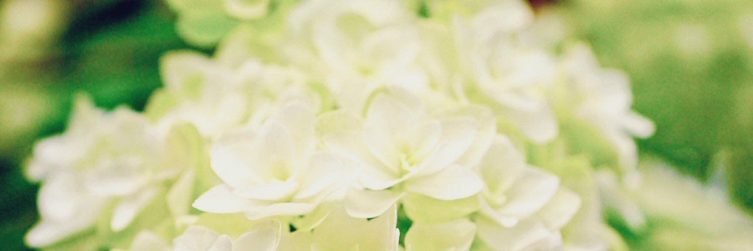 0w0_5's profile banner image