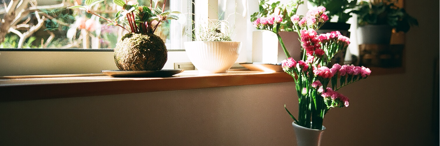 ANA00008's profile banner image