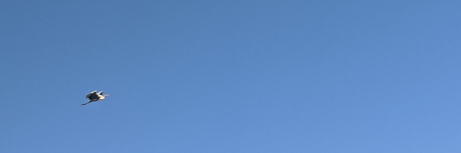 Trismegisto banner