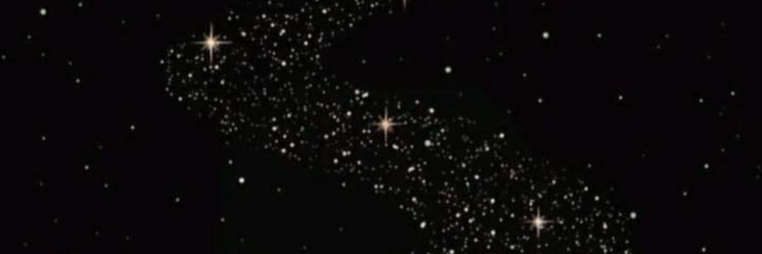 darnini_d's profile banner image